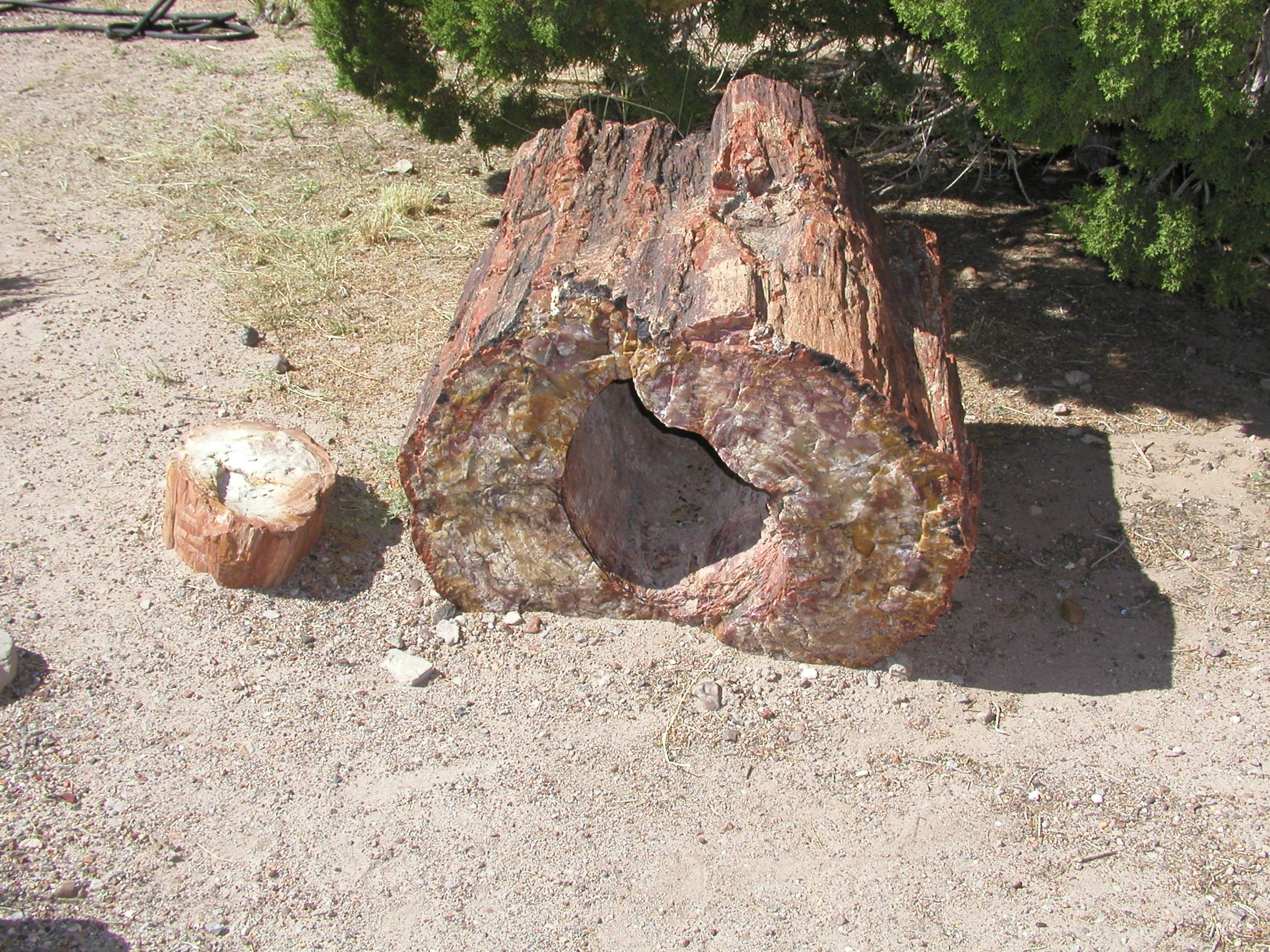 P9220015.JPG