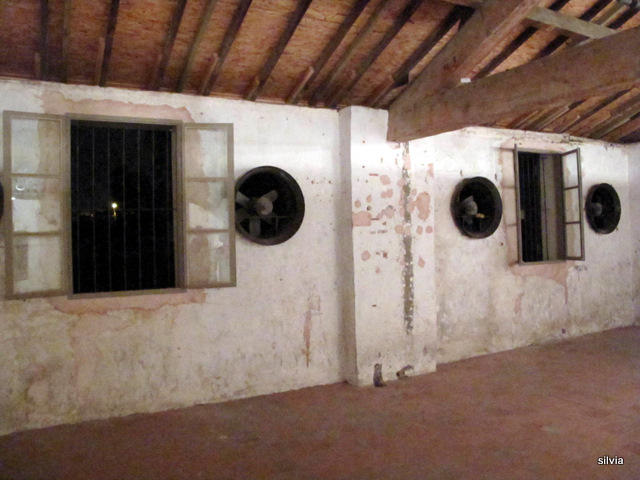 ventanas y ventiladores