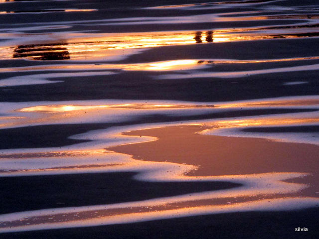 reflejos dorados