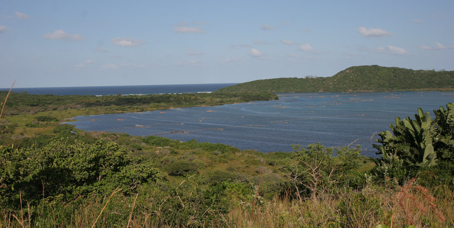Fish traps in Kosi Bay near Mozambique border