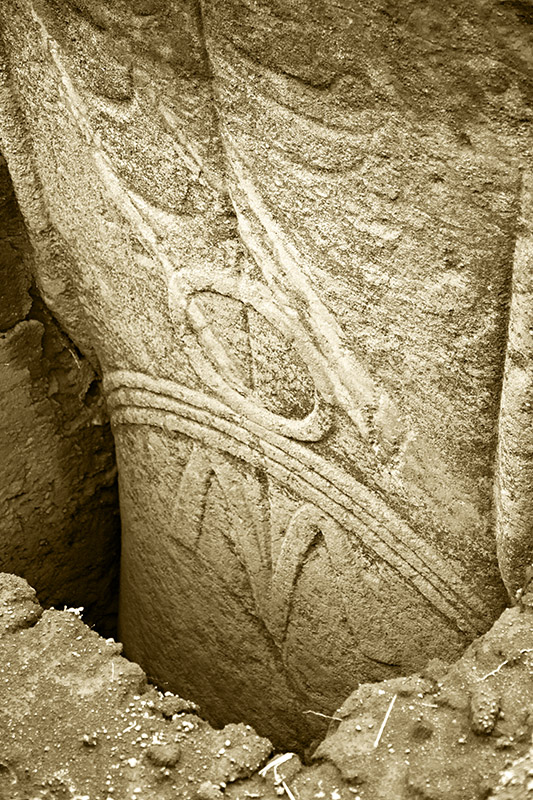 Moai Carvings