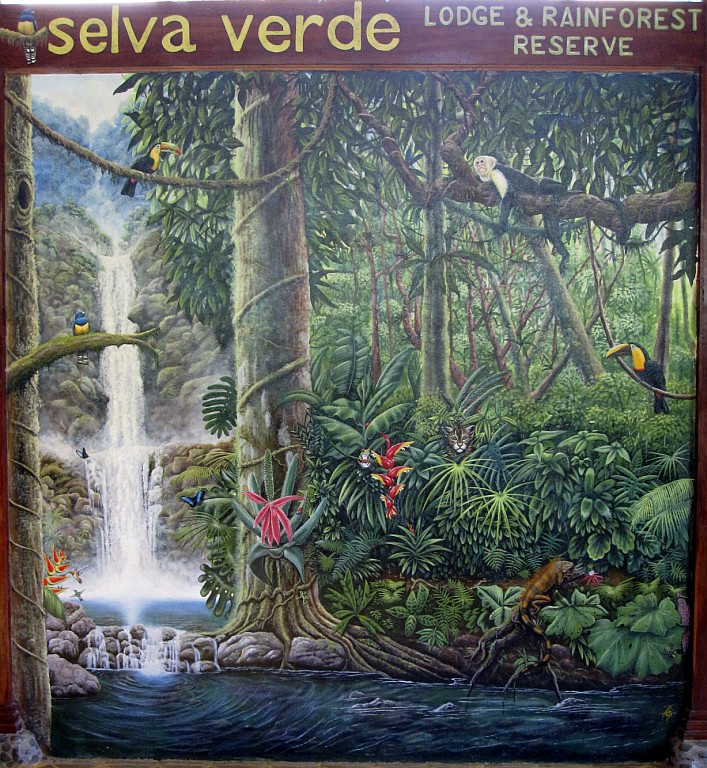Selva Verde Office Mural