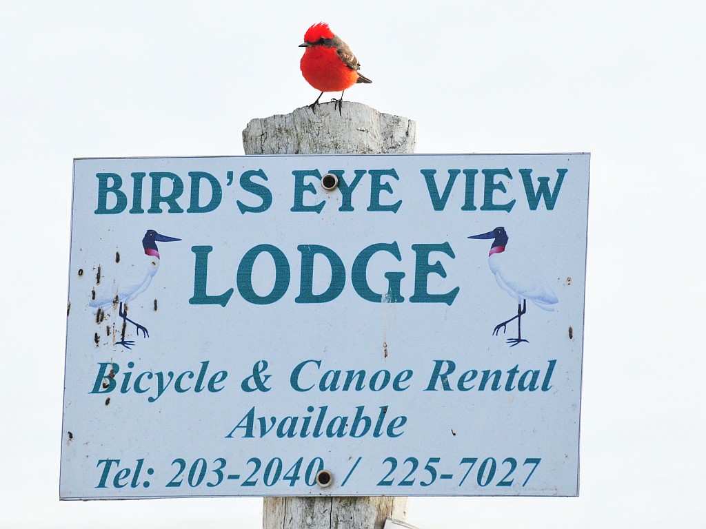 Birds Eye View Sign2