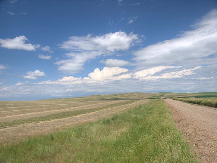 Prairie 9455