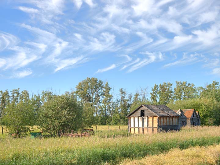 Prairie 0935