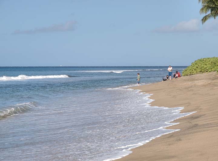 Maui 2471
