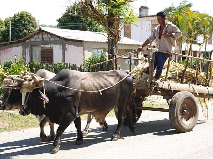 Cuba 5963