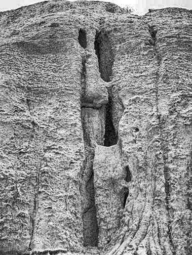 Castle Butte 9512N24R