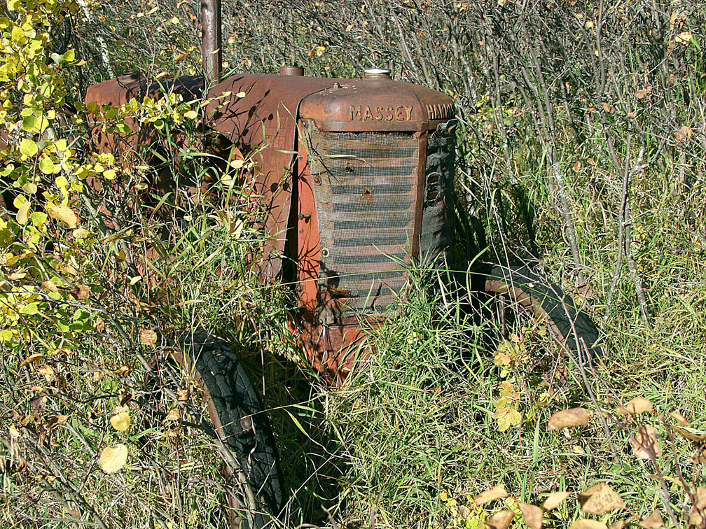 Massey in the weeds