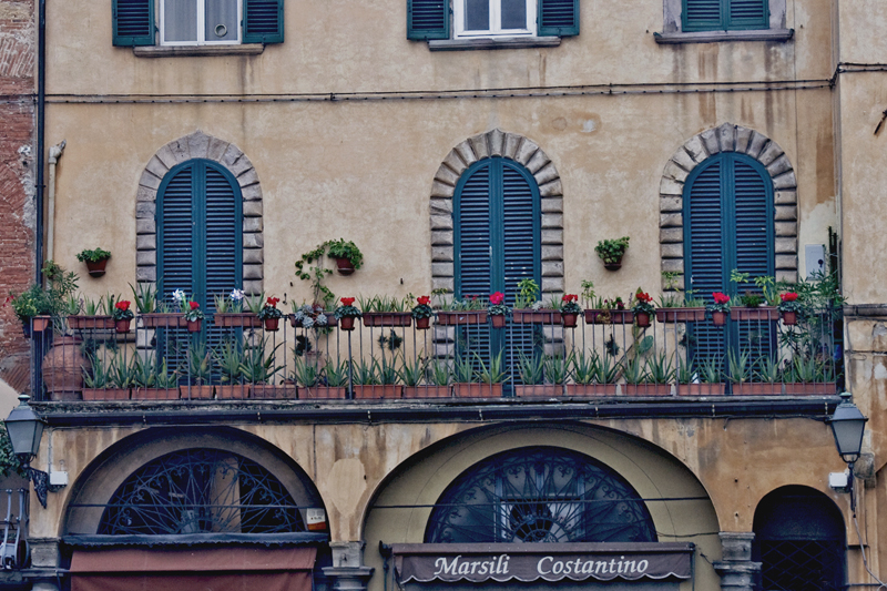 lucca  06.jpg