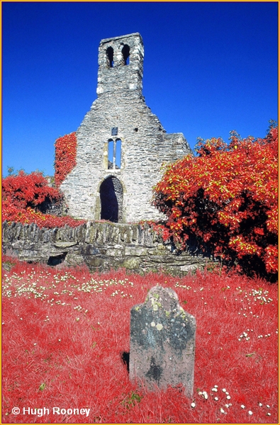  IRELAND - CO.LOUTH - MELLIFONT ABBEY