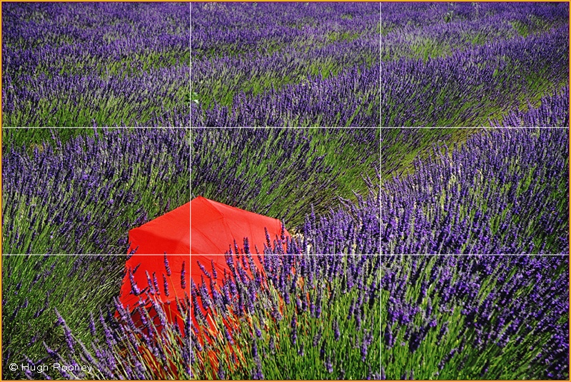 Positioning the Focal Point