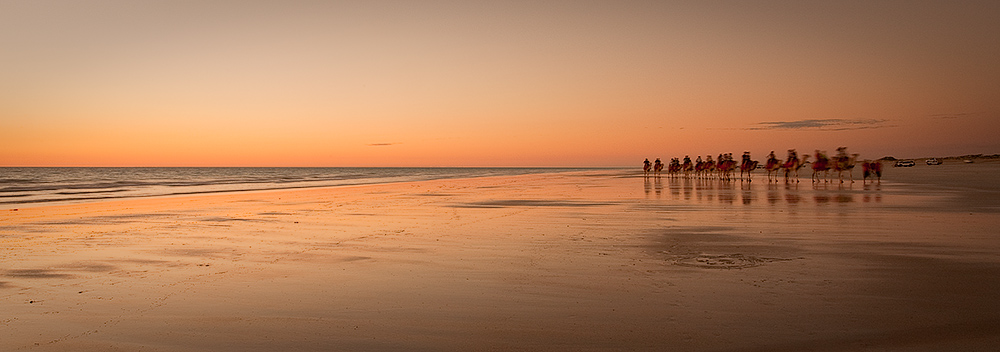 Camels at dusk on Cable Beach