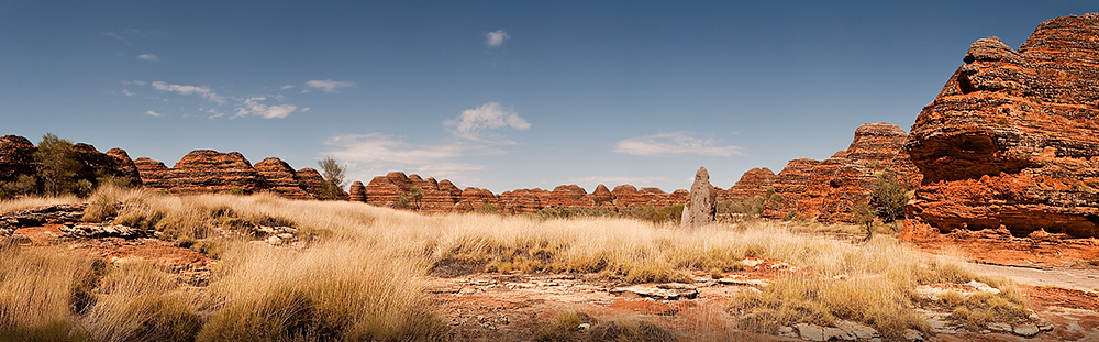 Bungle Bungle Domes and spinifex grass