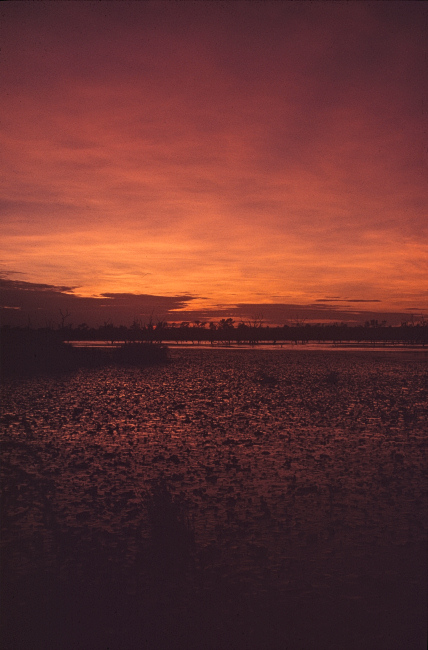 Sunrise Lake Kununurra