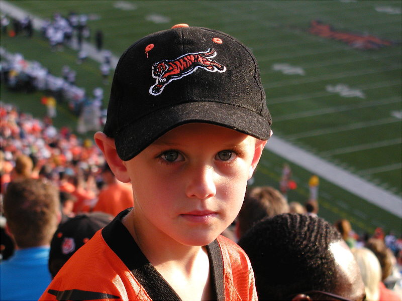 Young Fan