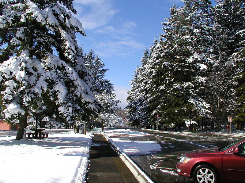 Rest Stop North of Bellingham, WA