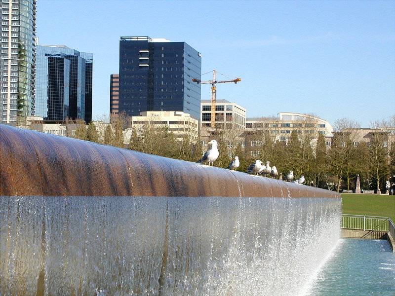 Park in Bellevue, WA
