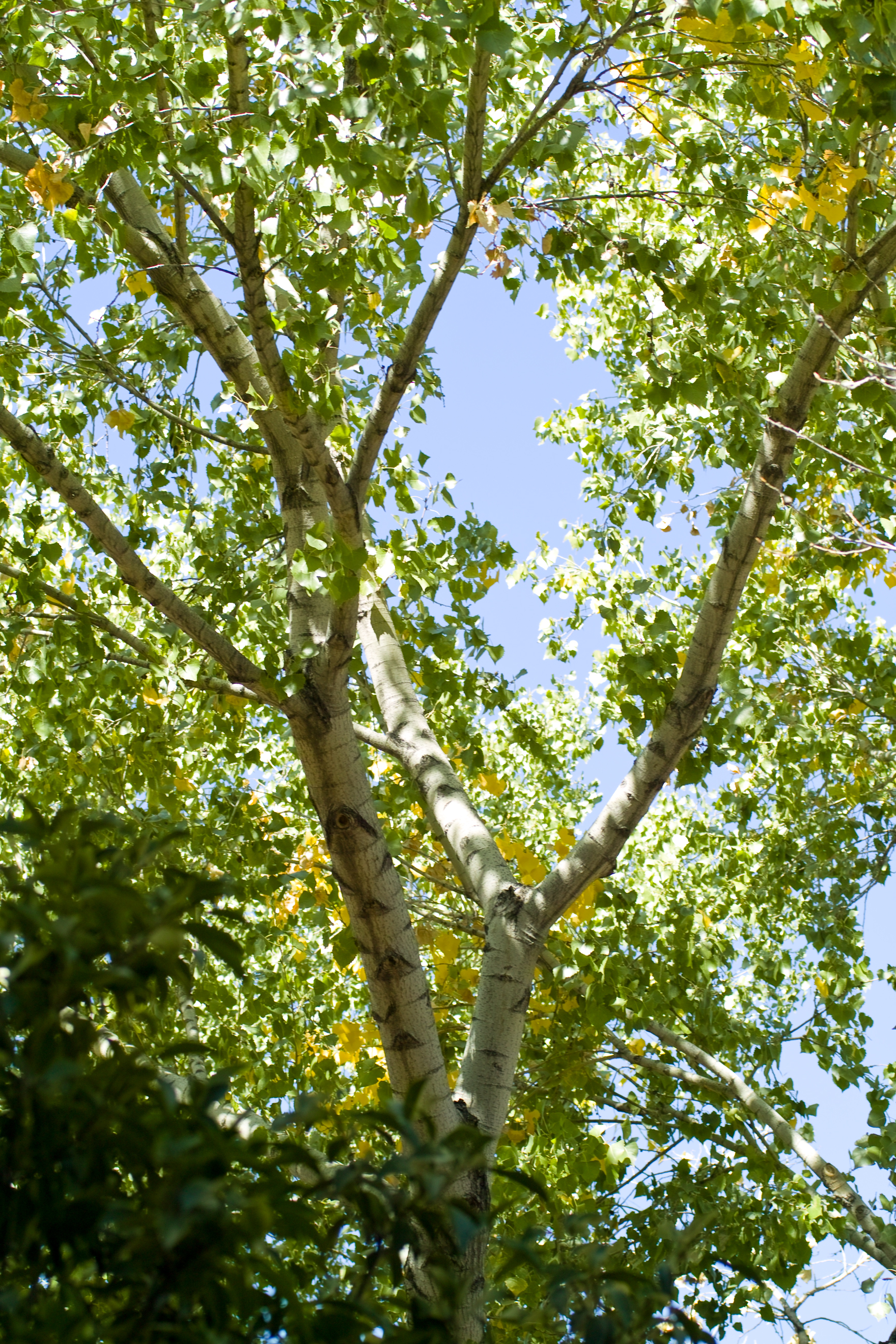 SDIM1229 outside our balcony