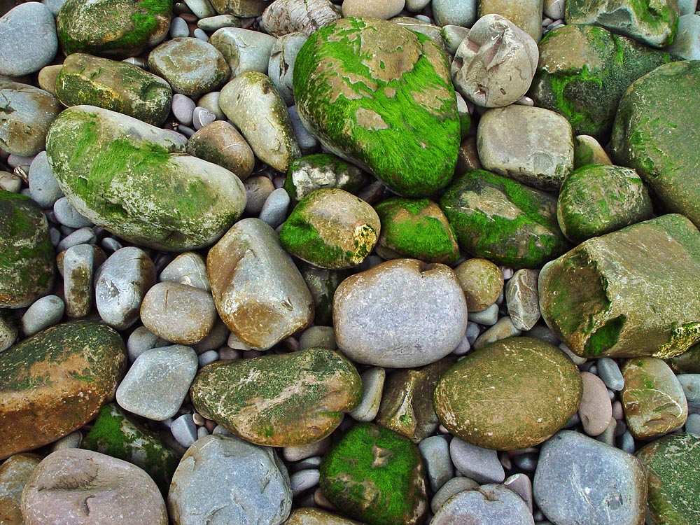 Patina on the rocks