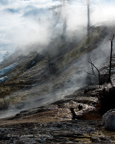 Mammoth Hot Spring