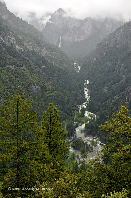 Spring Rain, Yosemite Valley