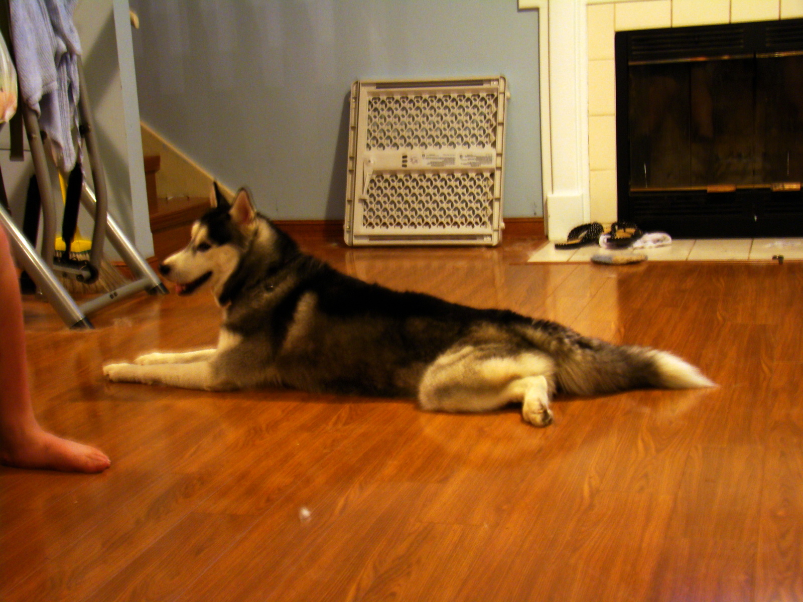 DSC00242.JPG