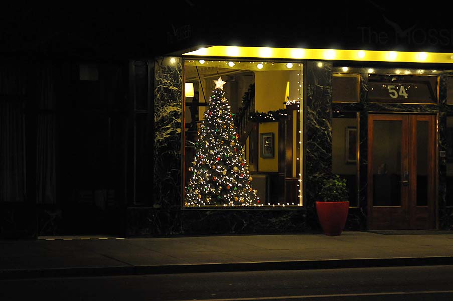 Holiday Tree