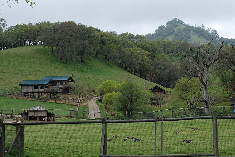 View of the Compound