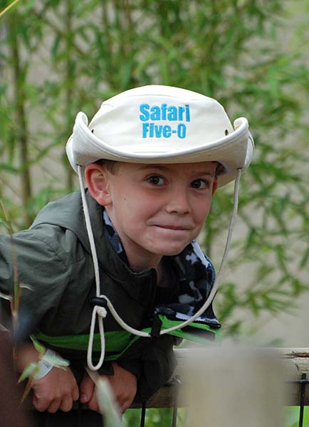 Safari Five-O