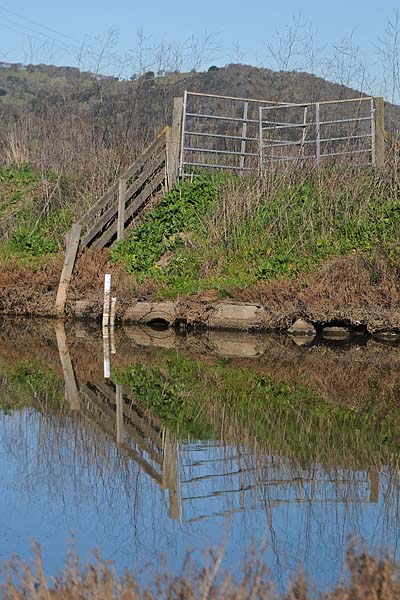 Fence Reflected