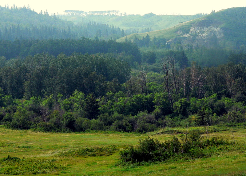 BATTLE RIVER VALLEY 2.JPG