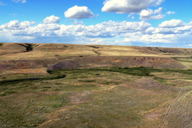 BULL POUND COULEE.JPG