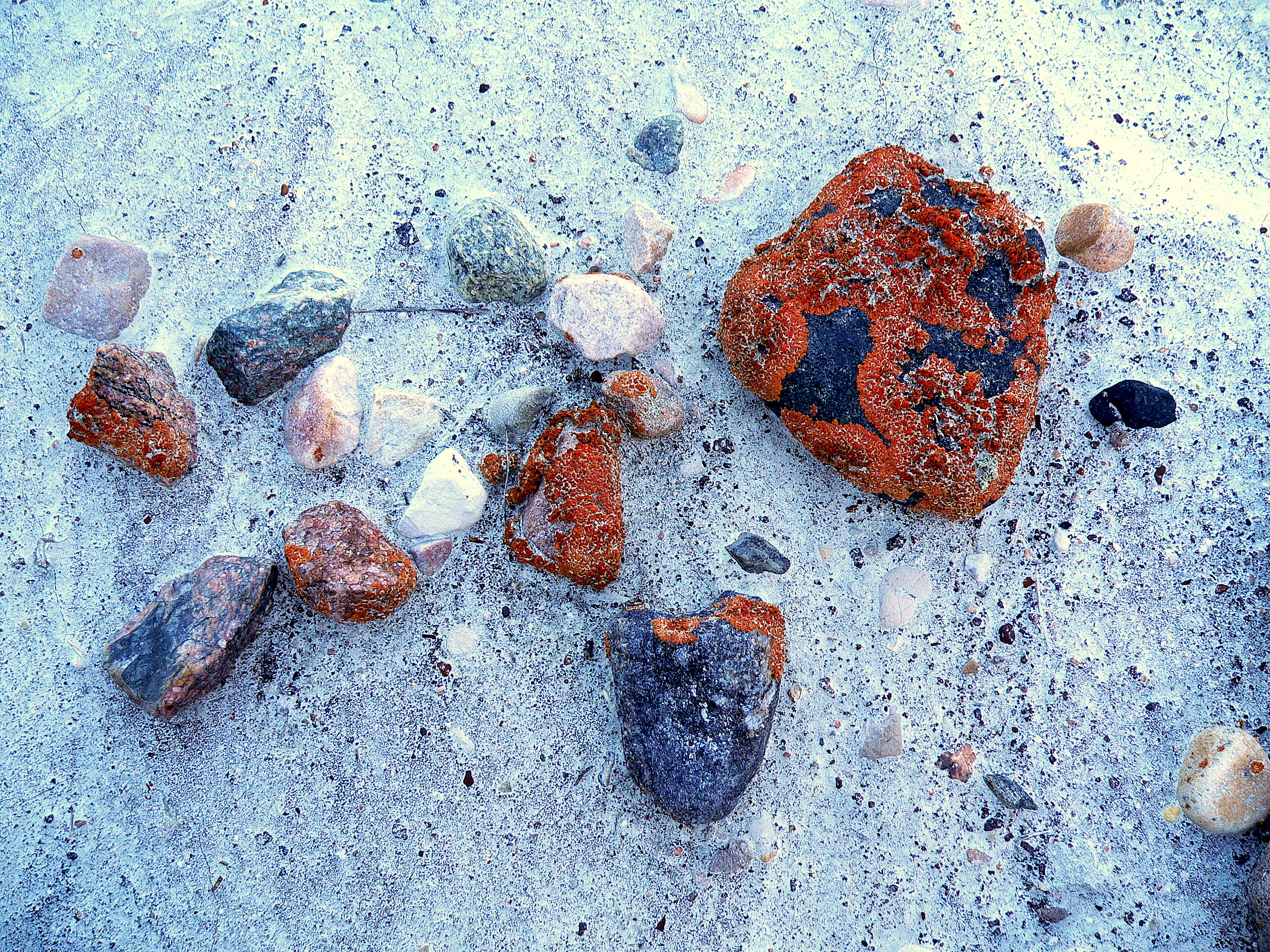 ROCK COLLECTION.JPG