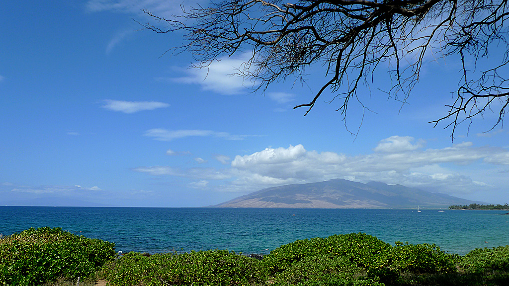 P1040655P.jpg