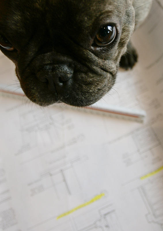 Knee Deep in Blueprints