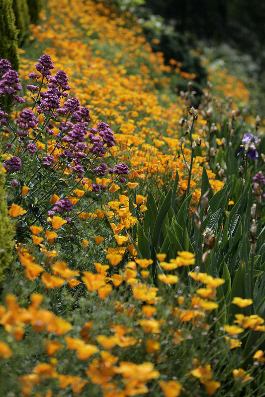1Beautifully tended gardens.jpg