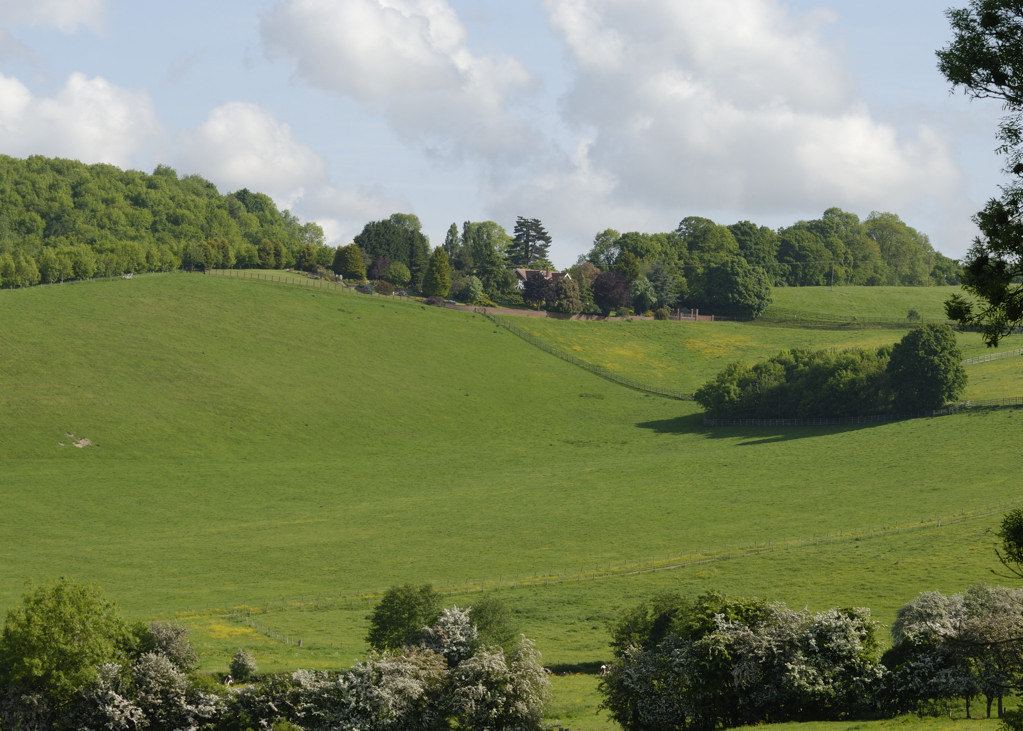 rising ground towards Wellington Heath