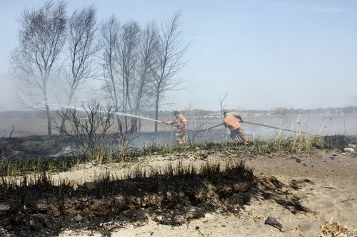 20080424_milford_ct_marsh_fire_silver_sands-29.JPG