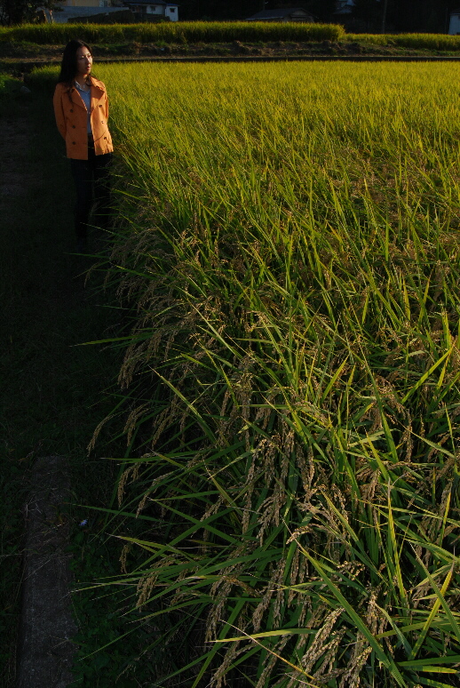 paddy05.jpg