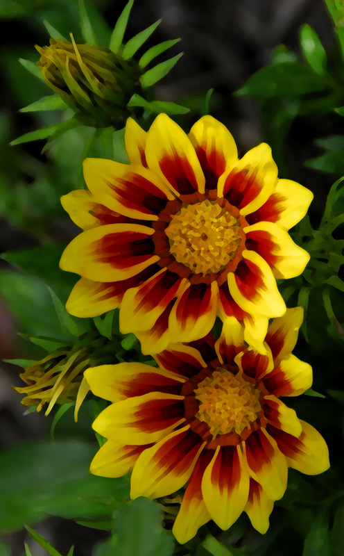 nk_009433a.jpg