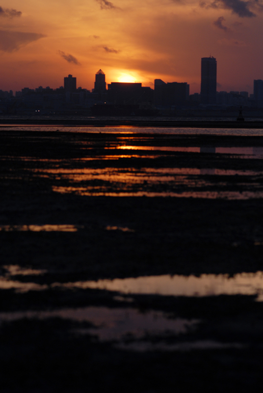 DSC_9589.jpg