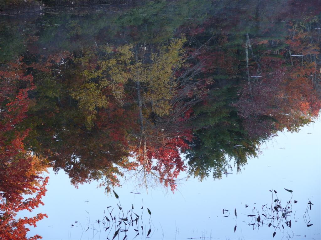 Long Pond