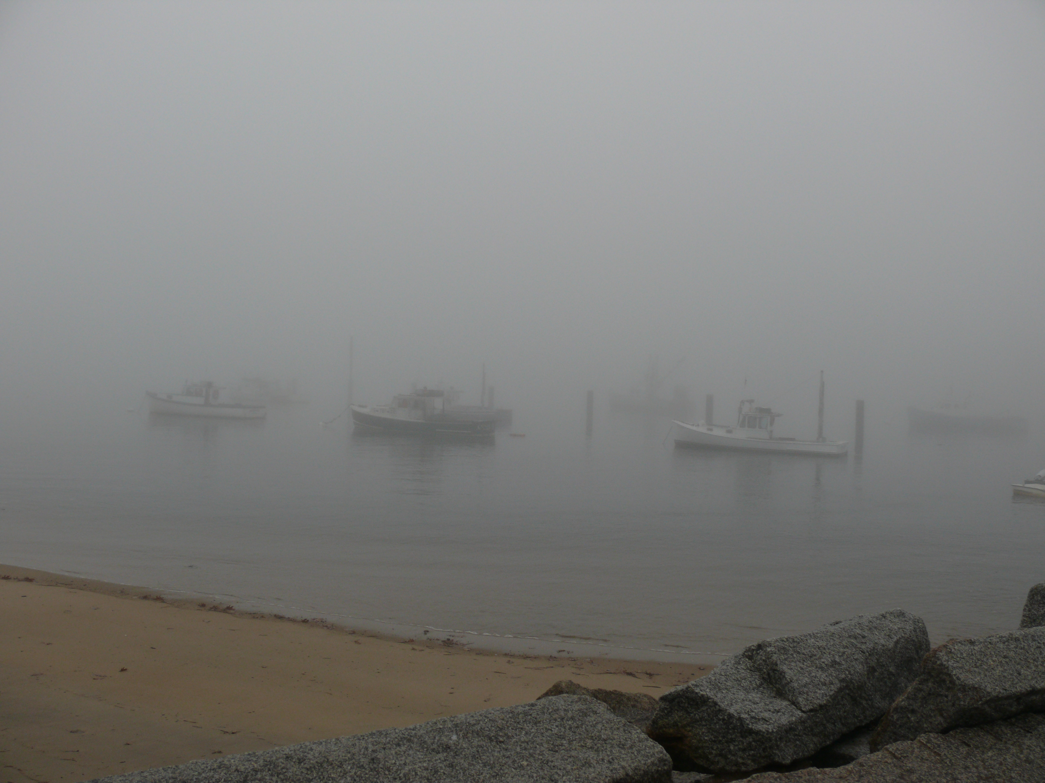 in the fog.JPG