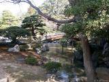 Imperial Palace - gardens #2