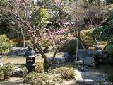 Imperial Palace - gardens #3