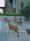 Deer Sculpture The Visitors