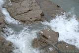 DSC07948.jpg