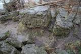 DSC07961.jpg