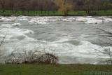 DSC08025.jpg